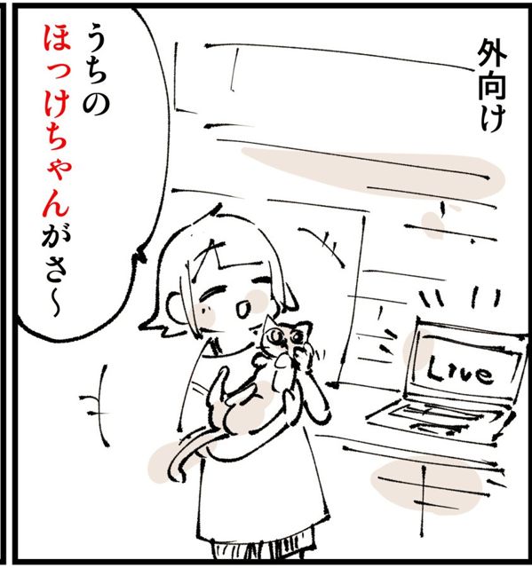 猫を抱えて、配信中のノートパソコンの前で話すぬこー様ちゃん(漫画のコマ)